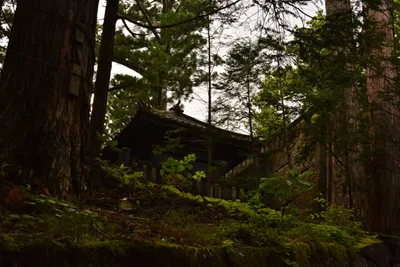 DSC_3890 (Large).JPG